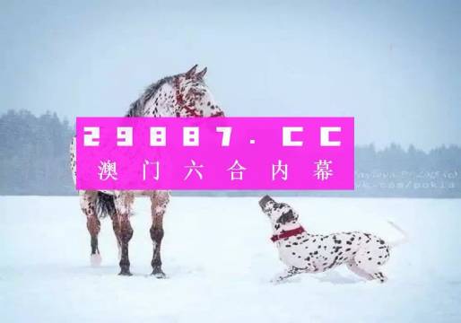 澳門一肖一碼狀元紅，揭秘彩票背后的秘密與策略，澳門彩票揭秘，狀元紅背后的秘密與策略解析