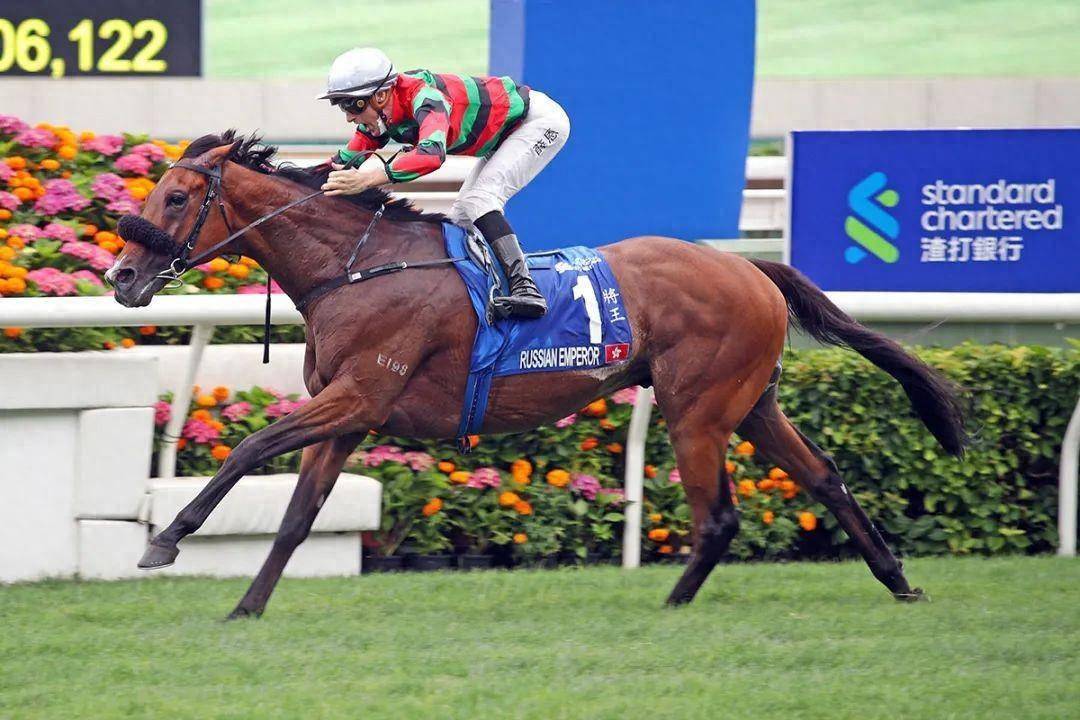 香港馬賽事，探索數(shù)字背后的激情與榮耀 7777788888，香港馬賽事，數(shù)字背后的激情與榮耀
