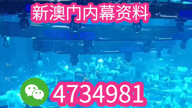 揭秘未來之星，2025新澳王中王，揭秘未來之星，2025新澳王中王風(fēng)采展示