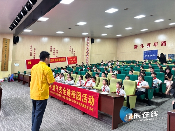 新奧49正版資料，探索與解析，新奧49正版資料深度探索與解析