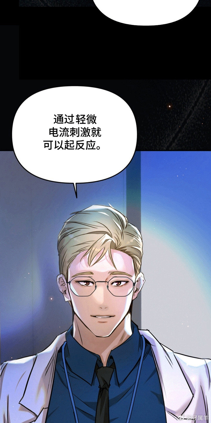 夜間診療室韓漫免費(fèi)，探索醫(yī)療與娛樂的新領(lǐng)域，夜間診療室韓漫免費(fèi)，醫(yī)療與娛樂的新領(lǐng)域探索