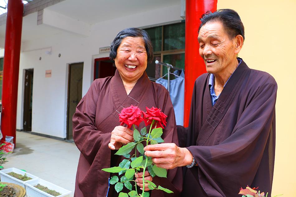 揭秘最準(zhǔn)一碼一肖，揭秘背后的秘密與真相，鳳凰網(wǎng)獨(dú)家報(bào)道，獨(dú)家揭秘，最準(zhǔn)一碼一肖背后的秘密真相（鳳凰網(wǎng)報(bào)道）