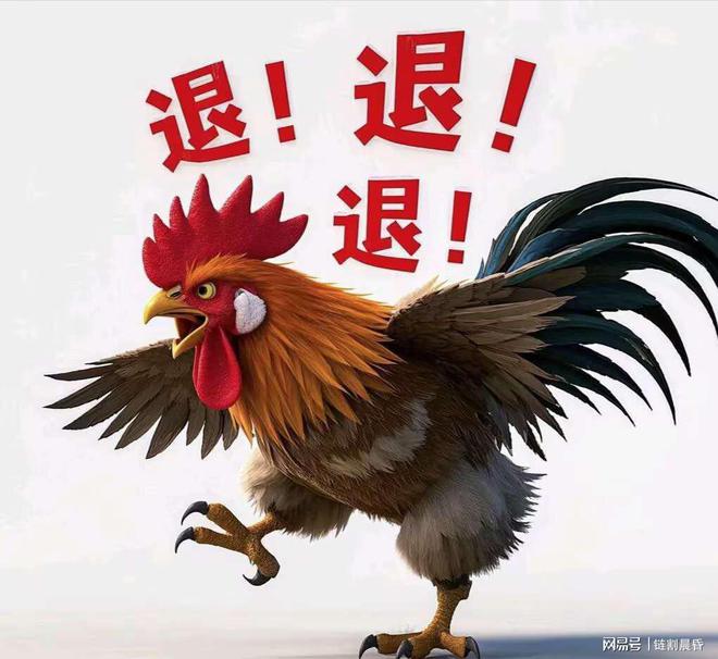 今晚特馬生肖必開資料，深度解析與預(yù)測，深度解析與預(yù)測，今晚特馬生肖必開資料揭秘