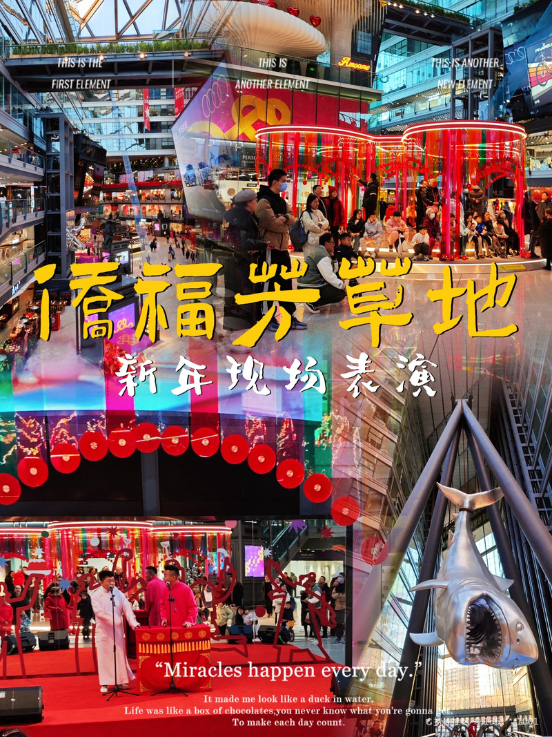 最新揭秘，2024新澳芳草地全方位資料詳解，揭秘2024新澳芳草地全方位資料，最新詳解