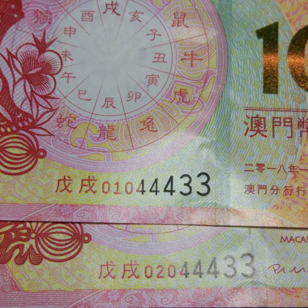 今晚9點30澳門的生肖是什么——揭秘澳門生肖預測之謎，澳門生肖預測揭秘，今晚9點30分的生肖揭曉之夜