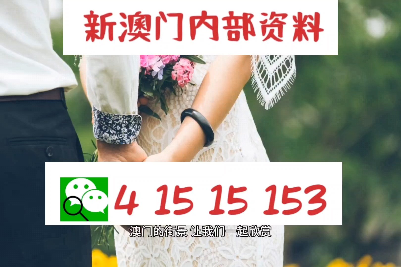 澳門特碼的開獎記錄——歷史數(shù)據(jù)與趨勢分析，澳門特碼開獎記錄分析，歷史數(shù)據(jù)與趨勢探討