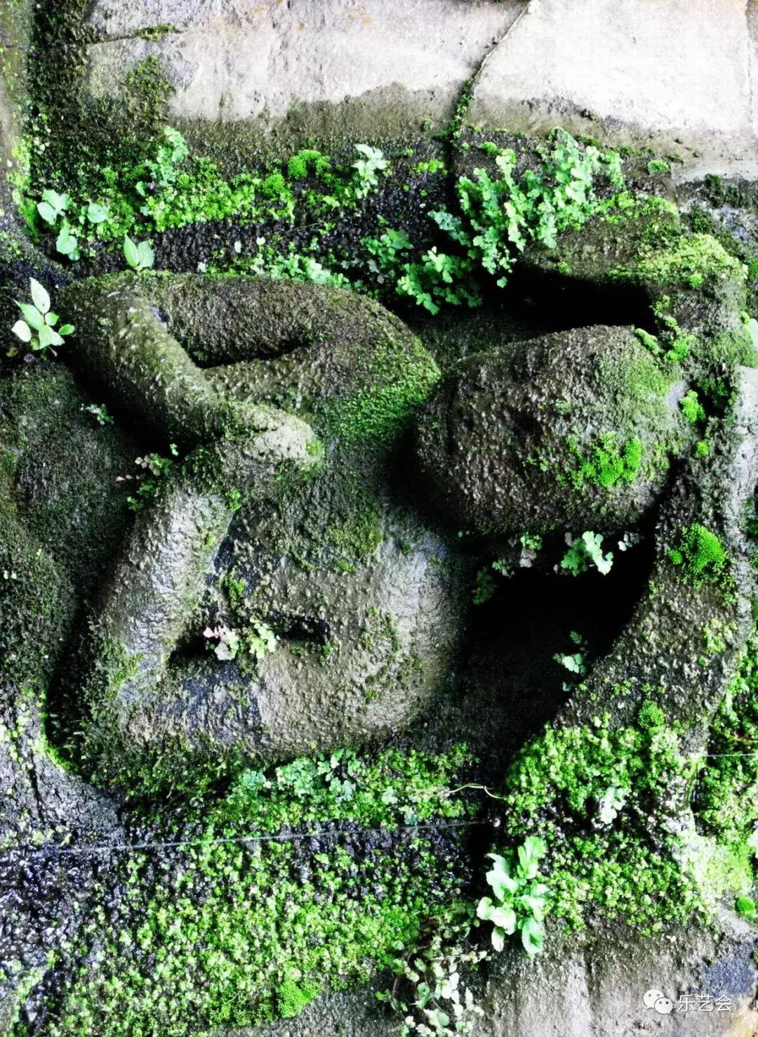 澳門九龍圖庫預測