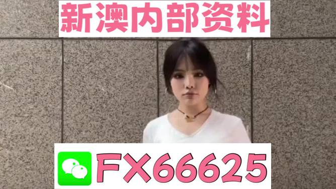澳門資料大全正版資料查詢，探索澳門的文化與歷史深度之旅，澳門文化與歷史深度探索，正版資料大全及查詢指南