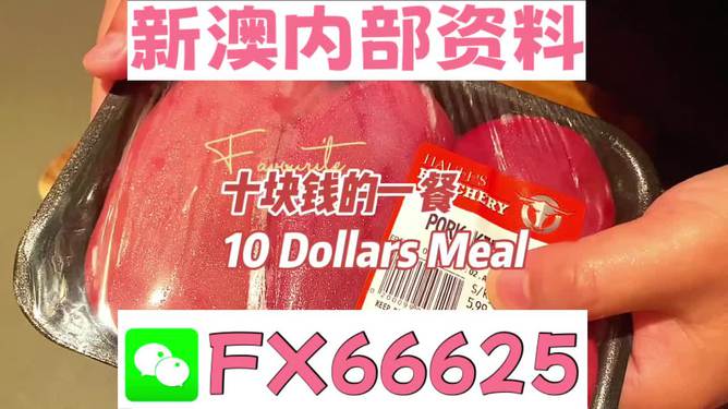 紅雙喜新澳資料，深度解析與SEO優(yōu)化策略，紅雙喜新澳資料深度解析與SEO優(yōu)化策略探討