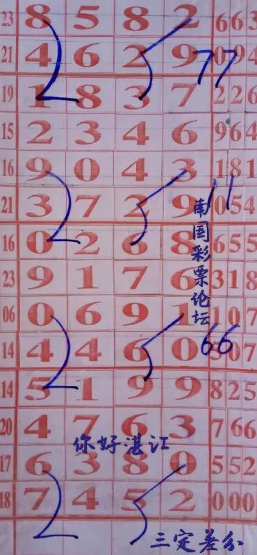 三字爆特肖，揭秘生肖魅力與SEO優(yōu)化策略，揭秘生肖魅力與SEO優(yōu)化策略，三字關(guān)鍵詞特肖分析