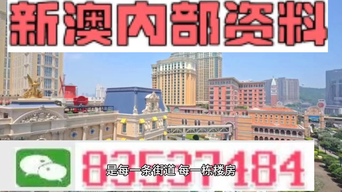 新澳門最精準正最精準龍門——探索澳門的魅力與機遇，澳門魅力與機遇探索，新澳門最精準龍門