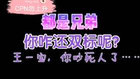 一肖二肖是什么意思——深度解析中國民俗中的生肖文化，深度解析中國民俗中的生肖文化，一肖二肖的含義與故事