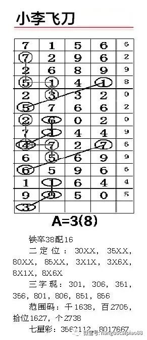 一肖二碼中平特，揭秘彩票奧秘與策略，揭秘彩票奧秘，一肖二碼中平特策略揭秘