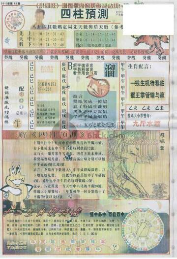 王中王動物一肖圖，深度解析與SEO優(yōu)化，王中王動物一肖圖深度解析與SEO優(yōu)化策略探討