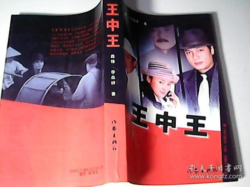 王中王資料一肖中特小說，深度解析與探索，王中王資料一肖中特小說的深度解析與探索之旅