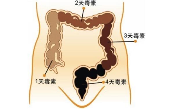 治便秘的六個(gè)有效小妙招，六個(gè)有效小妙招幫你解決便秘問(wèn)題