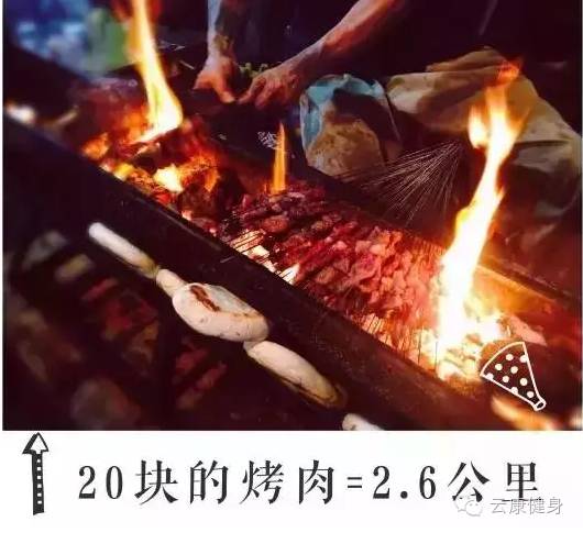 王中王313期指一生肖——揭秘生肖運勢與人生軌跡的獨特聯(lián)系，揭秘生肖運勢與人生軌跡的獨特聯(lián)系，王中王313期指一生肖詳解