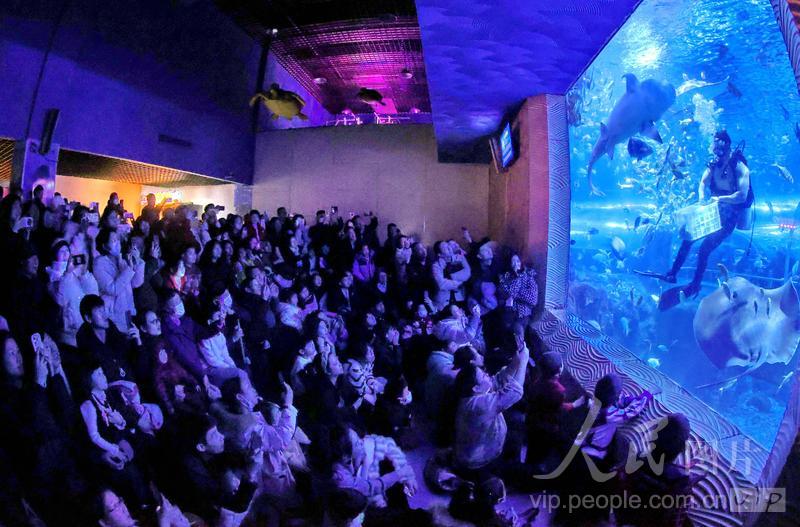 新澳2025今晚開獎結(jié)果揭曉，期待與驚喜的交匯點，新澳2025今晚開獎結(jié)果揭曉，期待與驚喜的碰撞