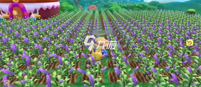 摩爾莊園紫羅蘭種子，種植與優(yōu)化的SEO策略，摩爾莊園紫羅蘭種子種植與SEO策略優(yōu)化指南