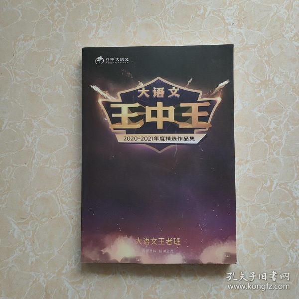 王中王一肖中特，探索與解析，王中王一肖中特，深度探索與解析