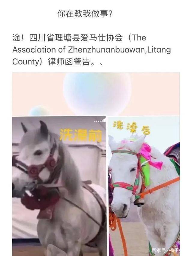 一馬爆特圖，揭秘背后的故事與SEO優(yōu)化策略，揭秘一馬爆特圖的背后故事與SEO優(yōu)化策略全攻略