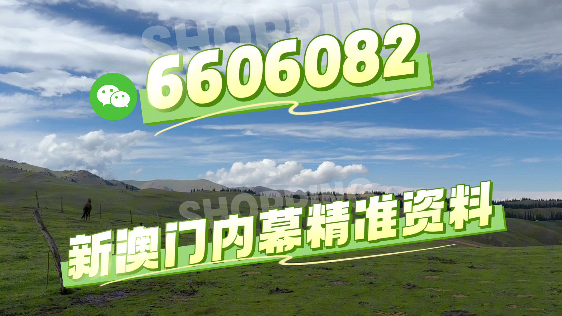 最快澳門今晚必中一肖一碼2025王中王開獎十，揭秘彩票背后的秘密與策略，揭秘彩票背后的秘密與策略，澳門今晚必中一肖一碼王中王開獎預(yù)測（2025年）