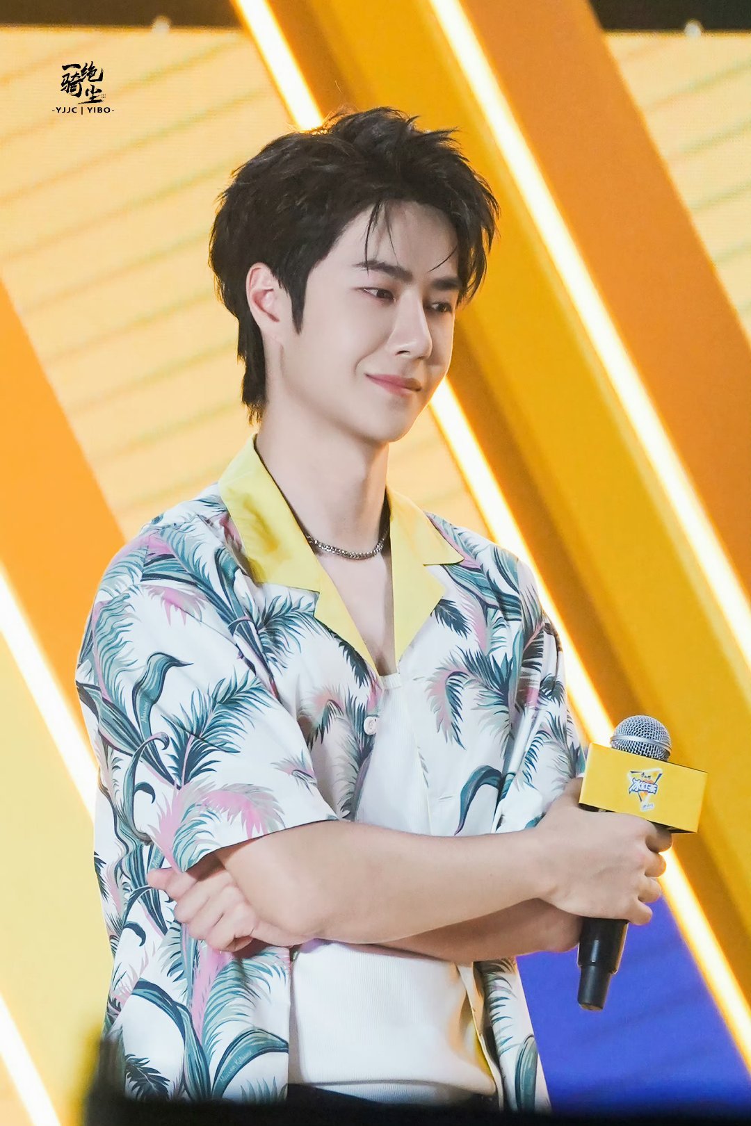 王中王一肖中特家婆，深度解讀背后的故事與奧秘，王中王一肖背后的故事與奧秘深度解讀