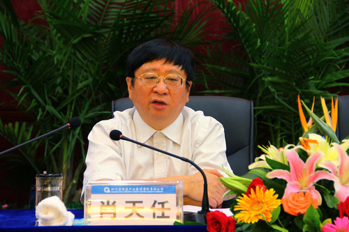 王中王資科一肖中持天，深度解析與SEO優(yōu)化策略，王中王資科一肖中持天深度解析與SEO優(yōu)化策略探討