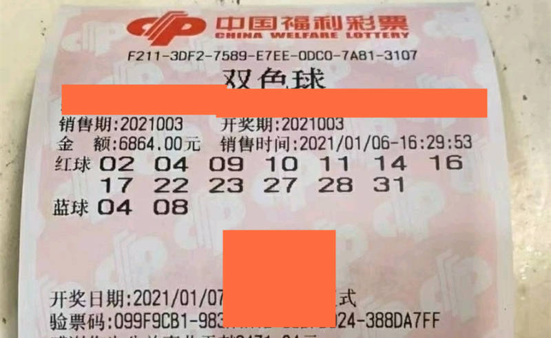 香港特馬開碼開獎結果今天，深度解析與預測，香港特馬今日開獎結果深度解析與預測