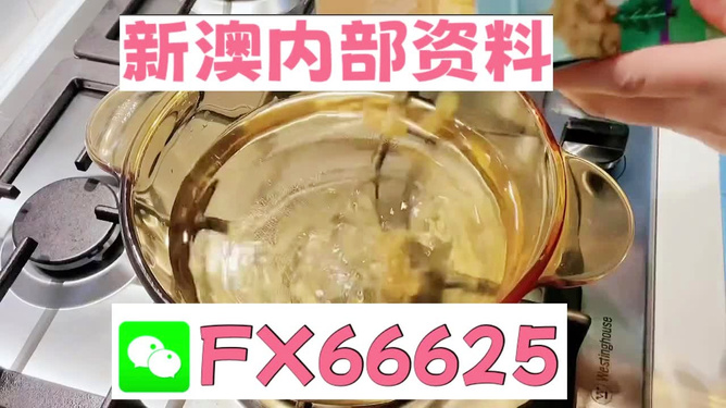 新澳一碼料，深度解析與SEO優(yōu)化策略，新澳一碼料深度解析與SEO優(yōu)化策略指南