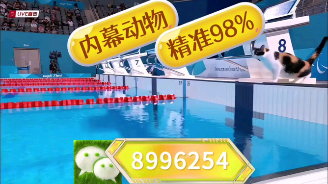 揭秘彩票奧秘，探索澳門王中王彩票期期中的秘密與策略，展望2025年彩票新紀元，揭秘彩票奧秘，澳門王中王彩票策略與秘密，展望2025彩票新紀元探索