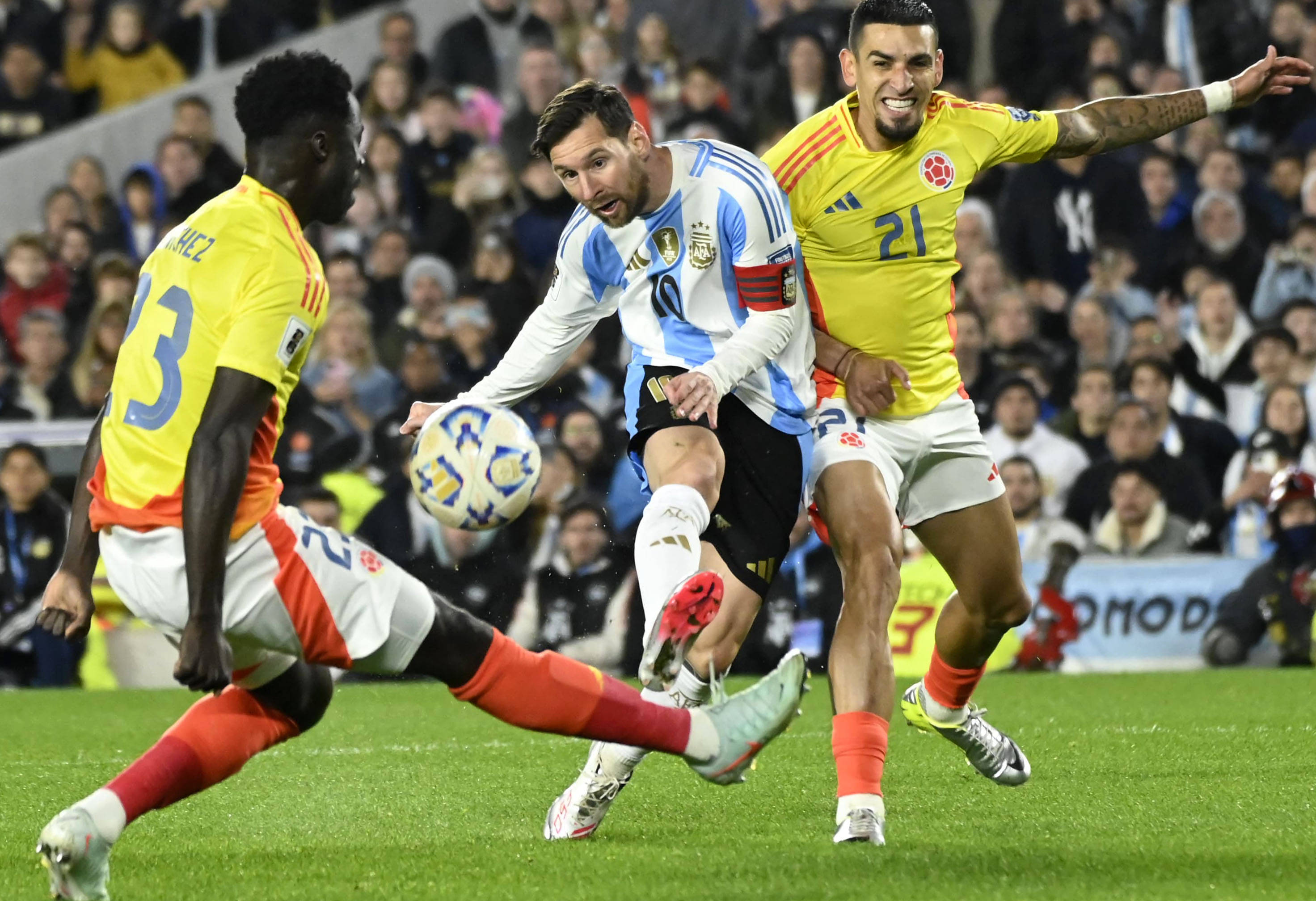 王中王077期一肖特種，深度解析與SEO優(yōu)化策略，王中王077期生肖特種深度解析與SEO優(yōu)化策略探討