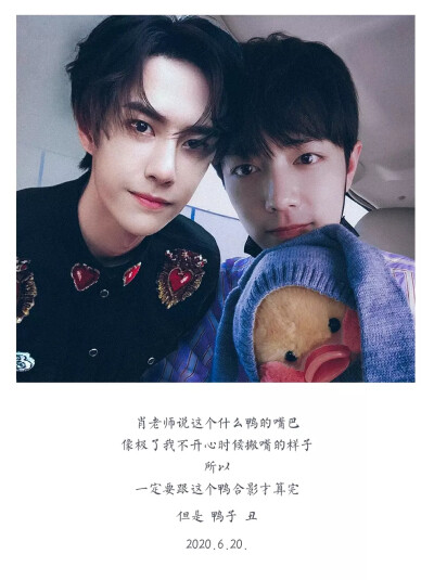 王中王一肖資料一肖王，深度解析與SEO優(yōu)化文章，王中王一肖資料深度解析與SEO優(yōu)化策略探討