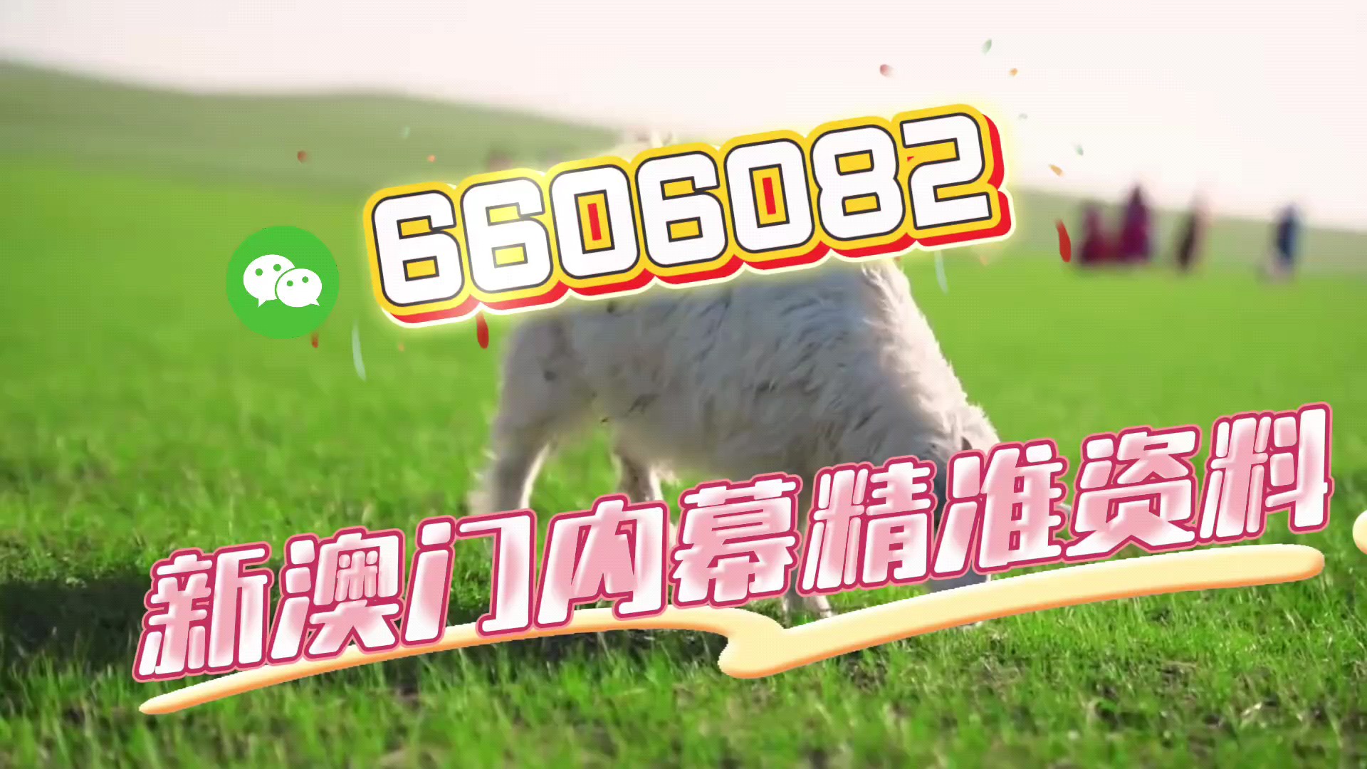 澳門彩票 第2頁