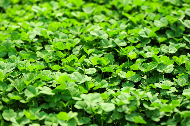 熱點(diǎn) 第17頁(yè)