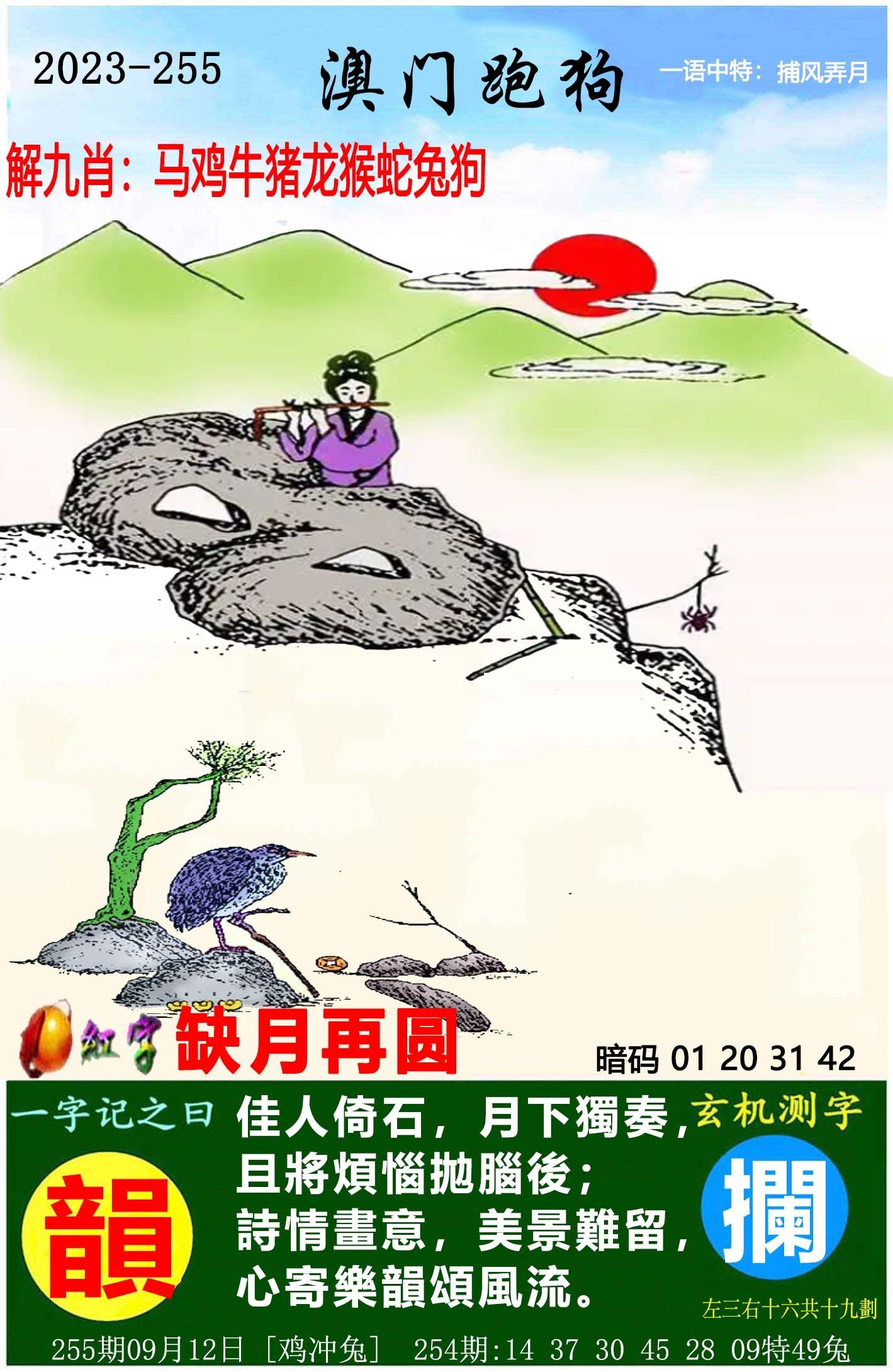 澳門六開獎結(jié)果特馬師——探索與解析，澳門六開獎結(jié)果特馬師解析與探索