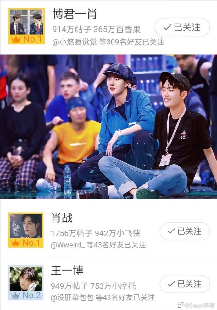 王中王一肖中特資料詳解，王中王一肖中特資料深度解析