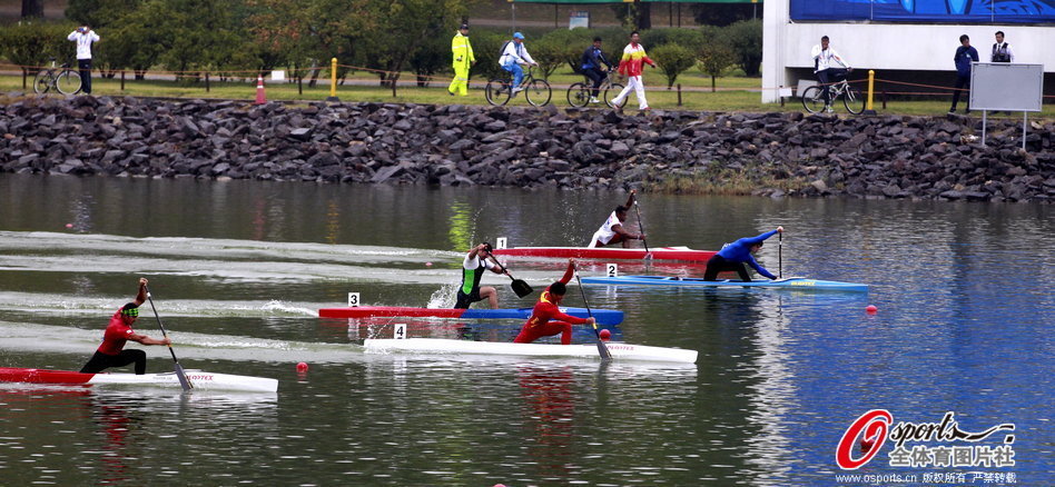 王中王一肖一馬期期中特，深度解析與SEO優(yōu)化策略，王中王一肖一馬期期中特深度解析與SEO優(yōu)化策略指南