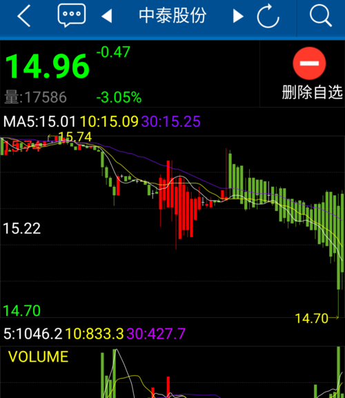 中泰股份股吧深度解析，投資潛力與未來發(fā)展展望，中泰股份股吧解析及投資潛力與未來發(fā)展展望