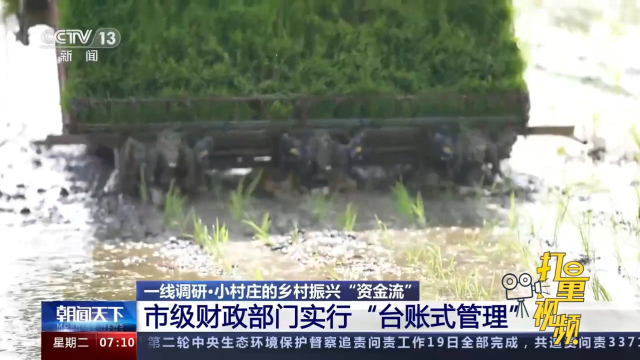 揭秘王中王滅莊好料一肖一真相，揭秘王中王滅莊真相，揭秘好料一肖內(nèi)幕