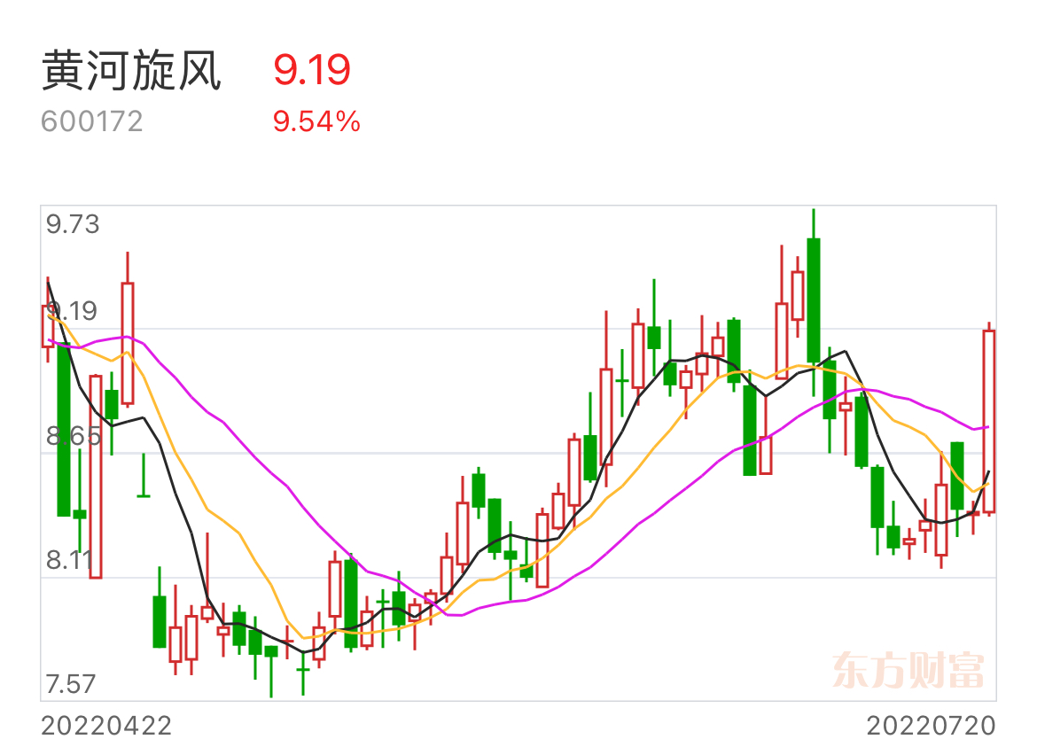 黃河旋風(fēng)股票，投資潛力與前景展望，黃河旋風(fēng)股票，投資潛力與未來前景展望