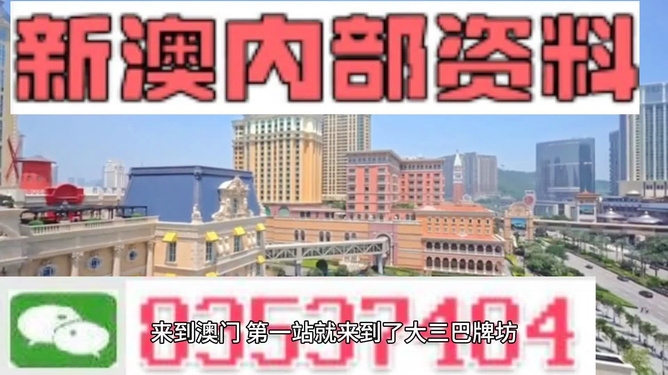 新澳新澳門(mén)正版資料，探索與解析，新澳新澳門(mén)正版資料深度解析與探索