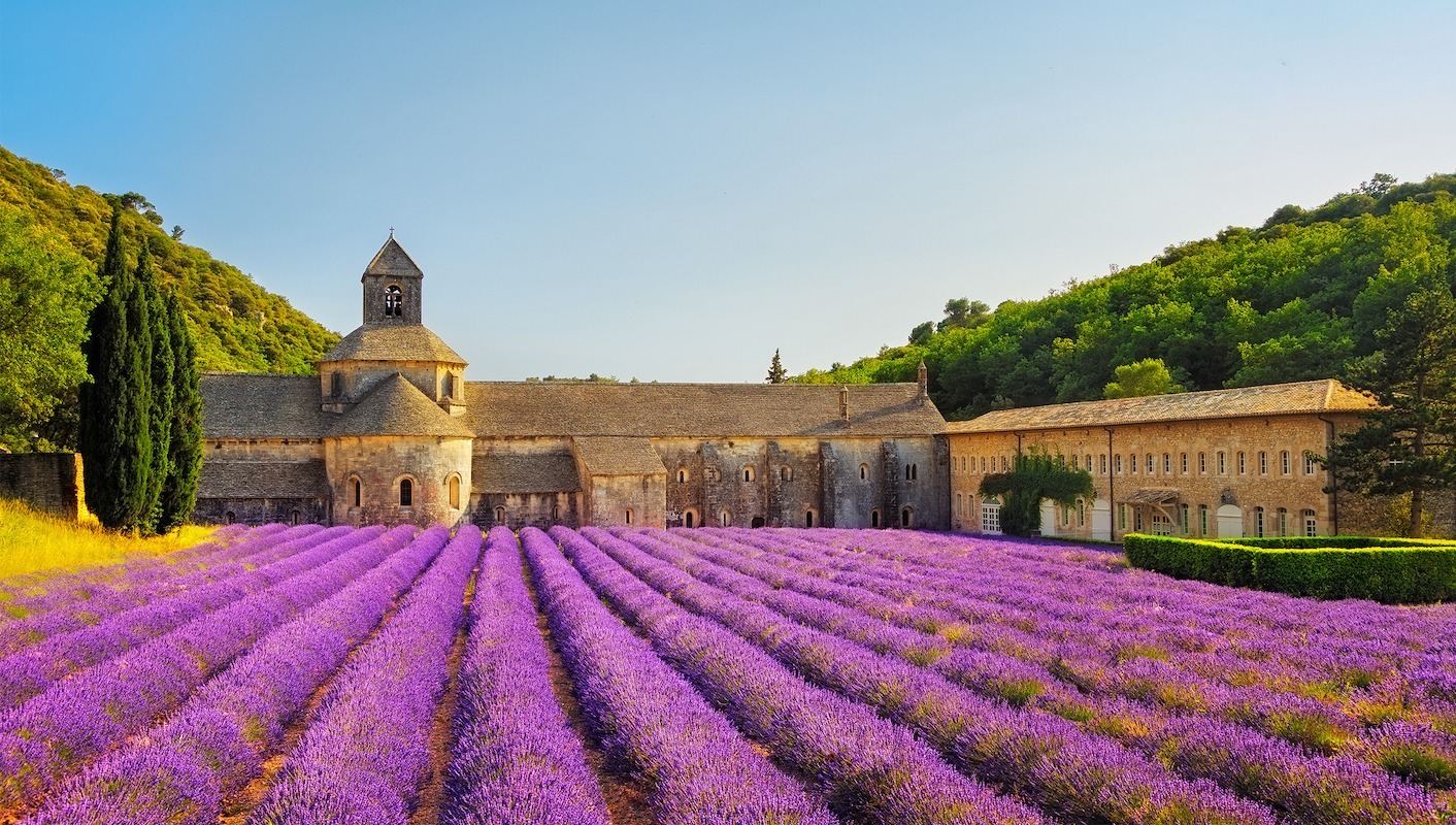 普羅旺斯薰衣草，夢(mèng)幻之地的無(wú)盡魅力與SEO優(yōu)化秘籍，普羅旺斯薰衣草，夢(mèng)幻勝地的魅力與SEO優(yōu)化攻略