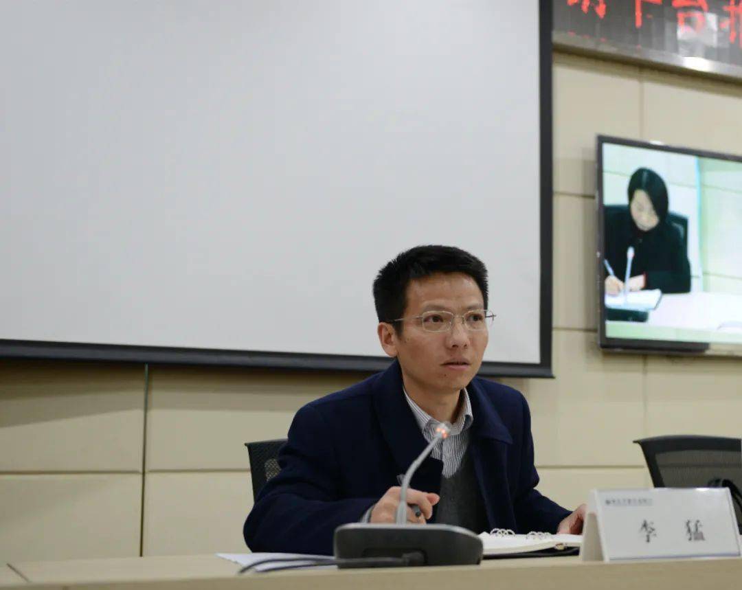 正版王中王一肖平碼圖——深度解析與探索，正版王中王一肖平碼圖深度探索與解析