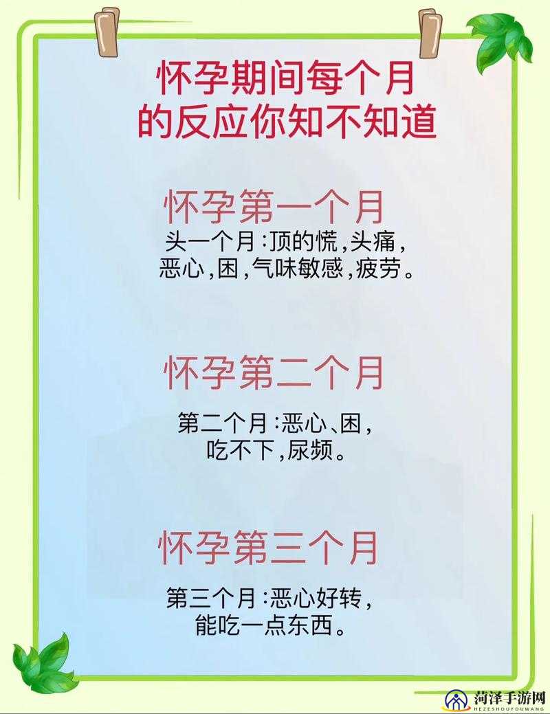懷孕多久會有反應(yīng)，早期征兆與個體差異的解析，懷孕早期反應(yīng)解析，征兆出現(xiàn)時間與個體差異探討