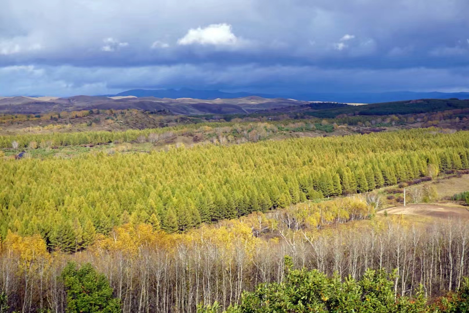 塞罕壩天氣預(yù)報，洞悉天氣變化，為您的旅行或生活提供精準(zhǔn)信息，塞罕壩天氣預(yù)報，精準(zhǔn)洞悉天氣變化，為您的出行保駕護(hù)航