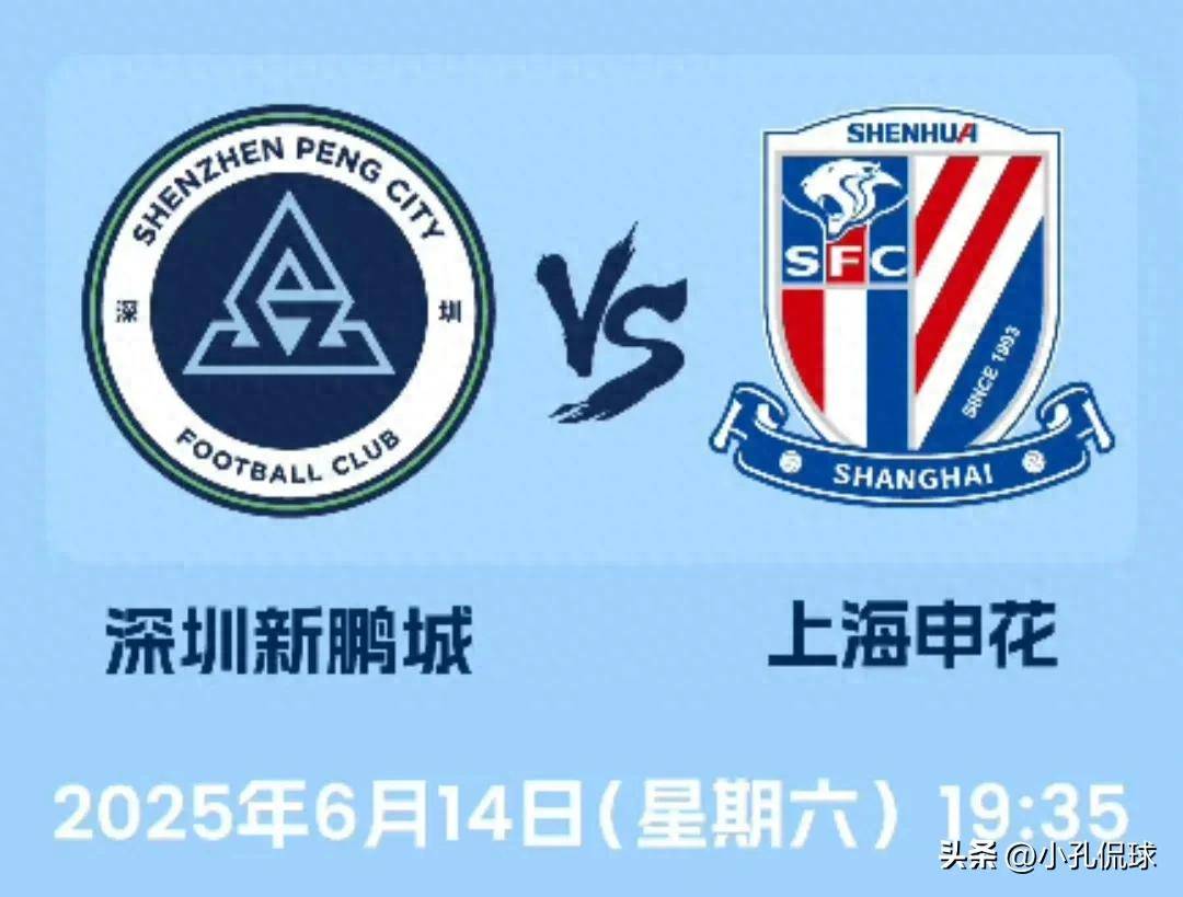 揭秘王中王，一特一碼一肖一中背后的秘密，揭秘王中王背后的秘密，一特一碼一肖一中的神秘面紗