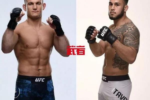 澳門六開獎結(jié)果記錄圖，探索彩票背后的秘密，澳門六開獎結(jié)果記錄圖揭秘彩票背后的秘密