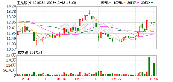 玉龍股份股吧，深度解析與前景展望，玉龍股份股吧深度解析及前景展望