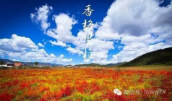 金秋十月，探尋最適合你的旅游目的地，金秋十月，探尋最佳旅游目的地之旅